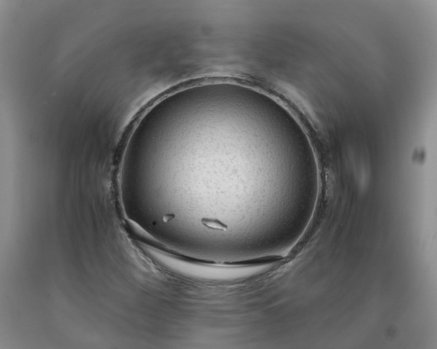 X0000091981260200709201419