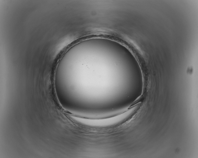 X0000091981261200709201419