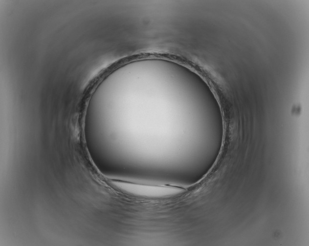 X0000091981262200709201419