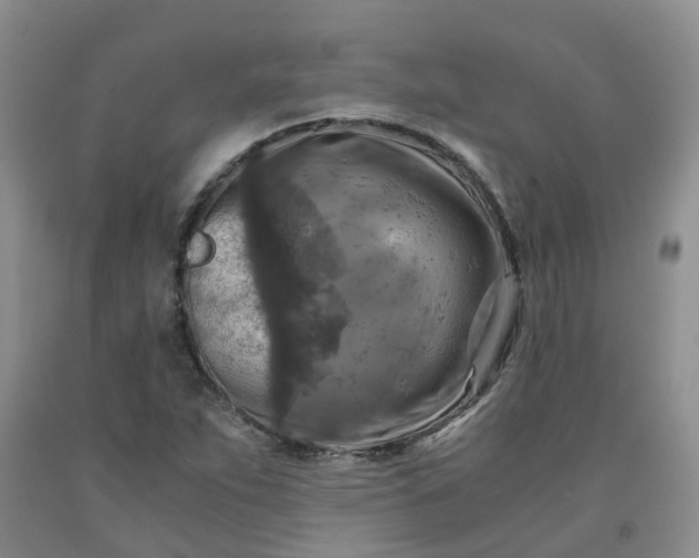 X0000091981263200709201419