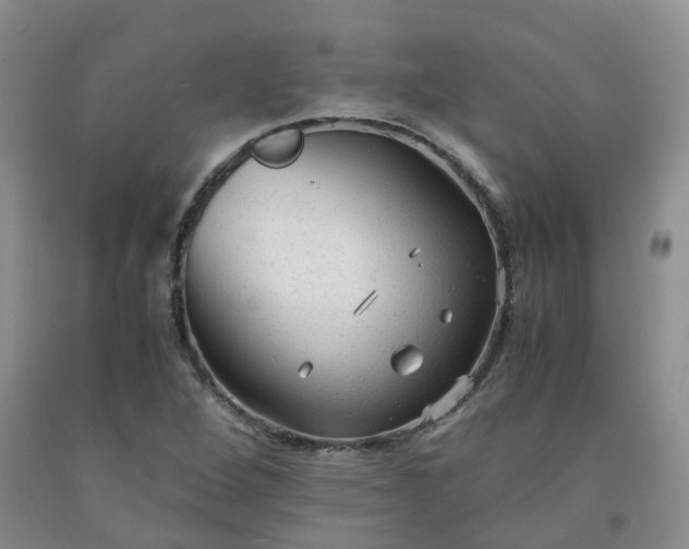 X0000091981264200709201419