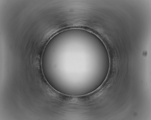 X0000091981265200709201419