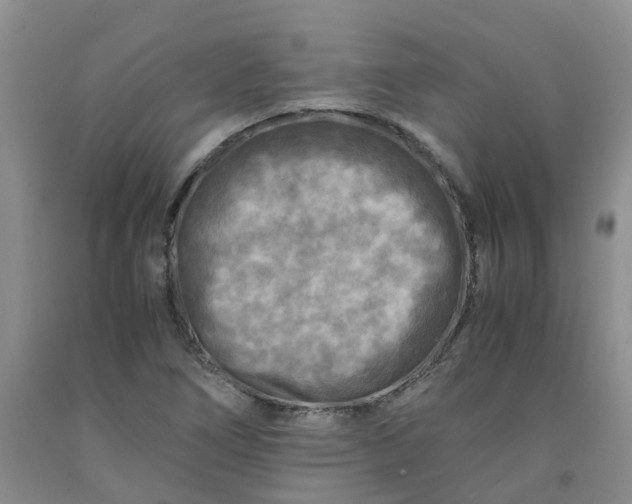 X0000091981266200709201419