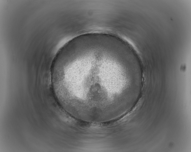 X0000091981267200709201419