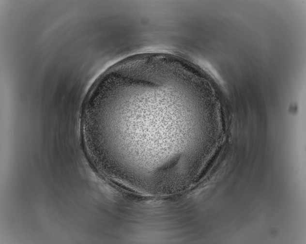 X0000091981268200709201419