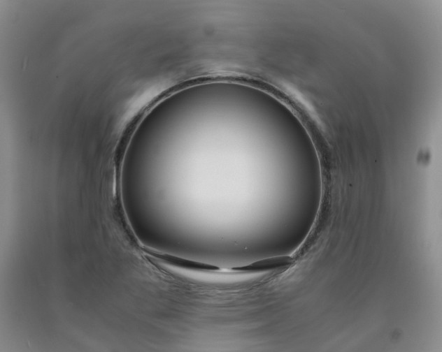 X0000091981269200709201419