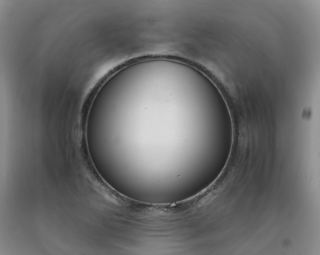 X0000091981270200709201419