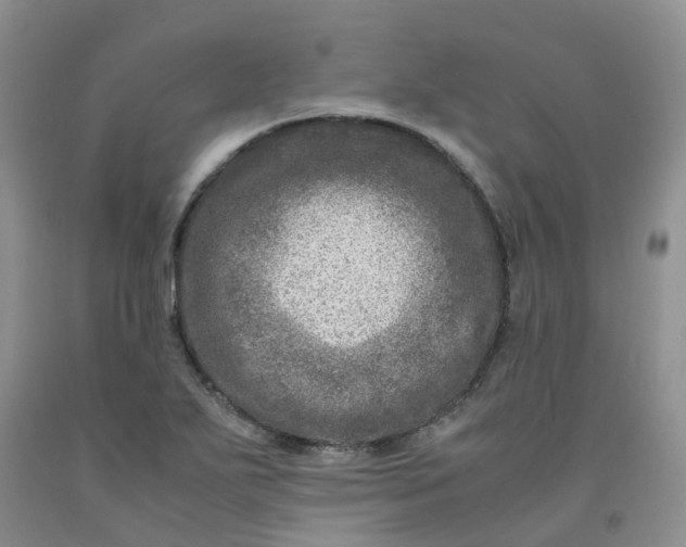 X0000091981271200709201419