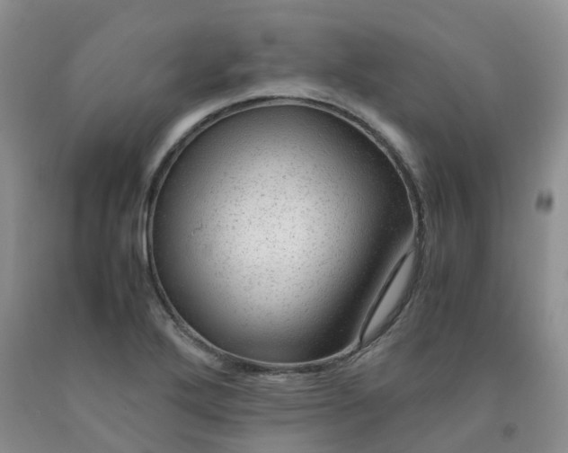 X0000091981272200709201419