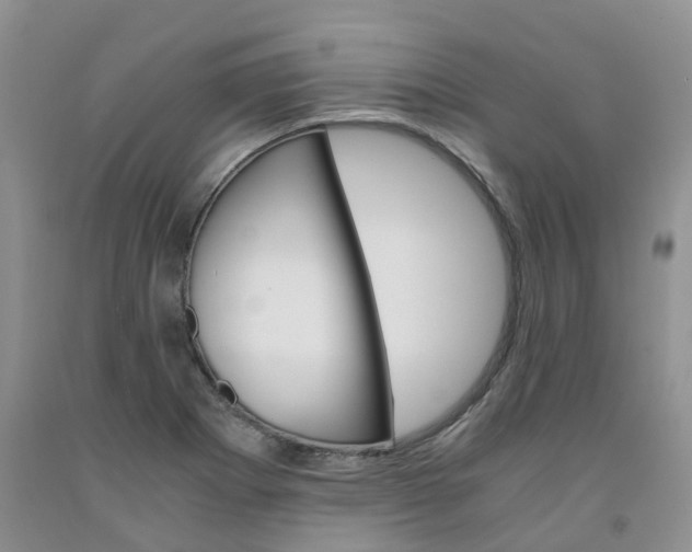 X0000091981273200709201419