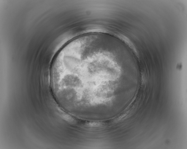 X0000091981274200709201419