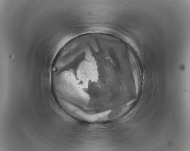 X0000091981275200709201419