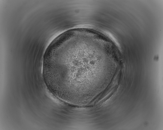 X0000091981276200709201419