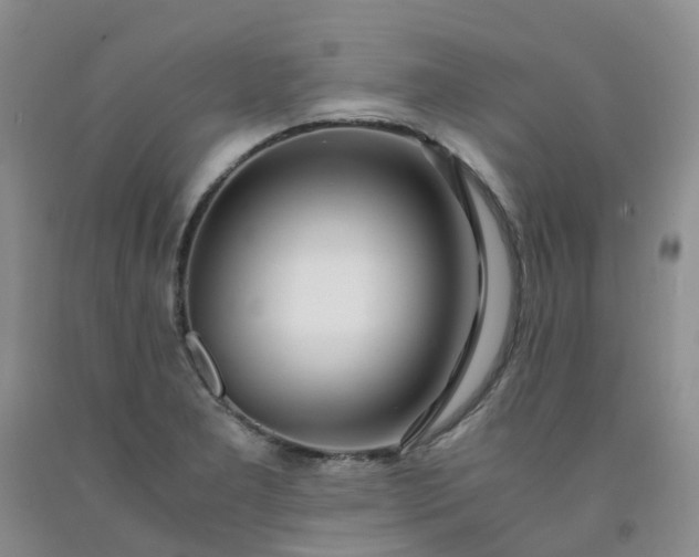 X0000091981277200709201419