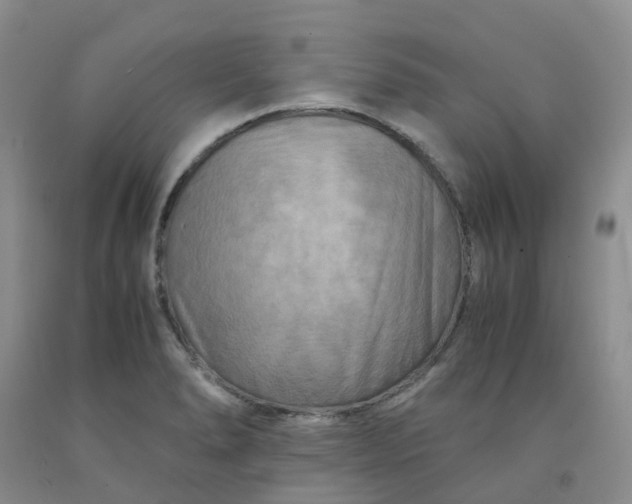 X0000091981278200709201419