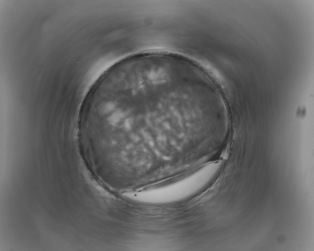 X0000091981279200709201419