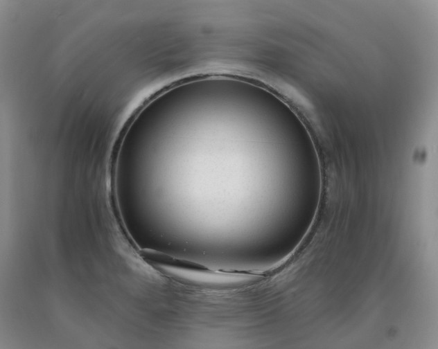 X0000091981280200709201419