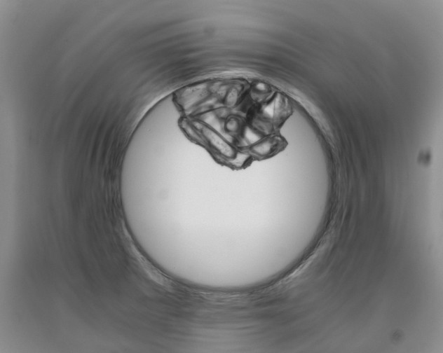 X0000091981281200709201419