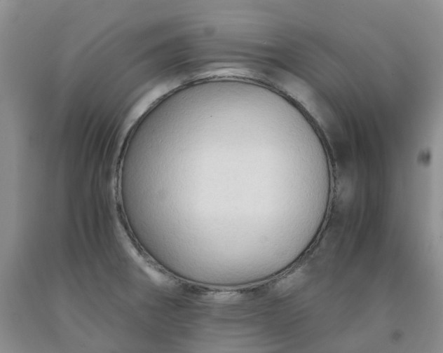 X0000091981282200709201419