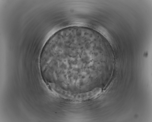 X0000091981283200709201419