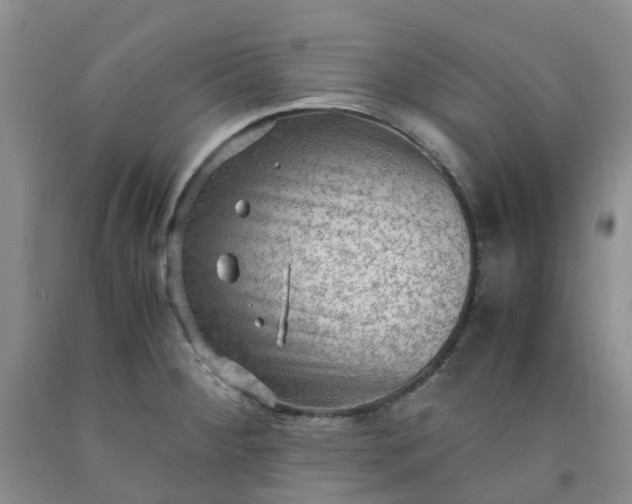 X0000091981284200709201419