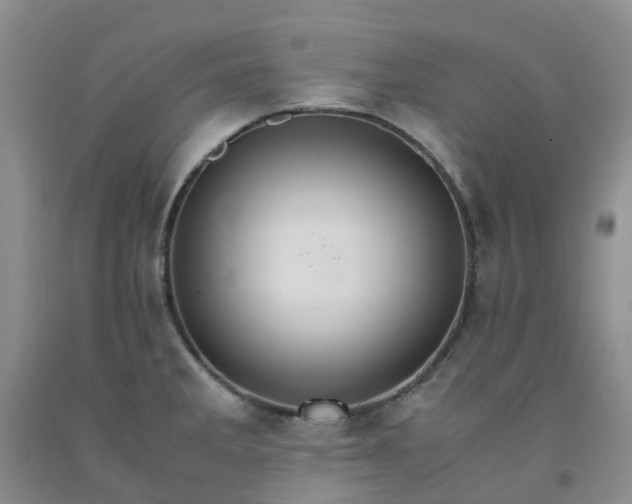 X0000091981285200709201419