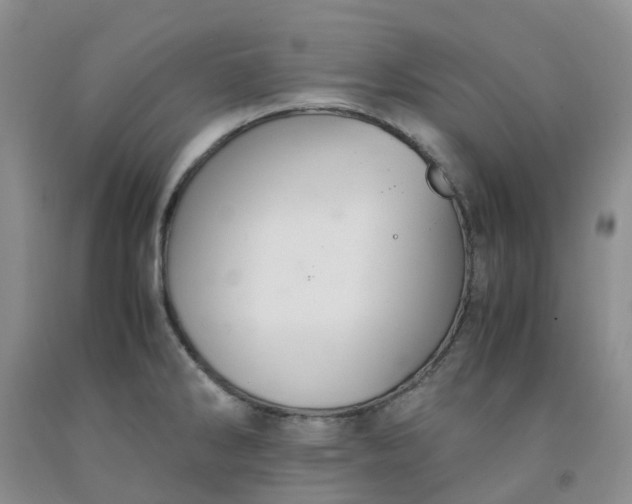 X0000091981286200709201419