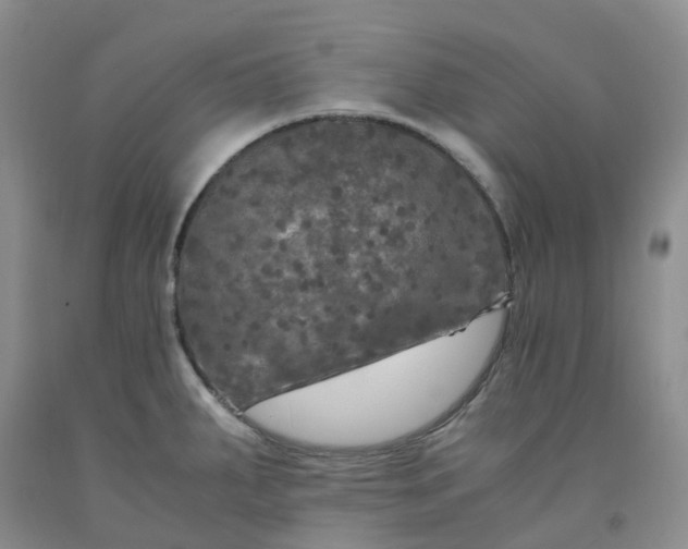 X0000091981287200709201419