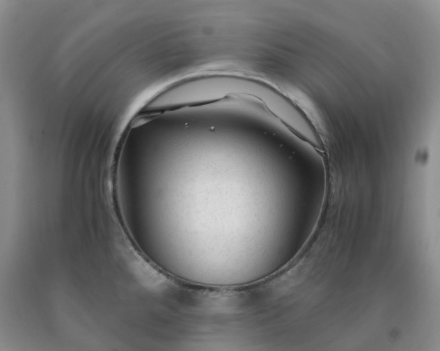 X0000091981288200709201419