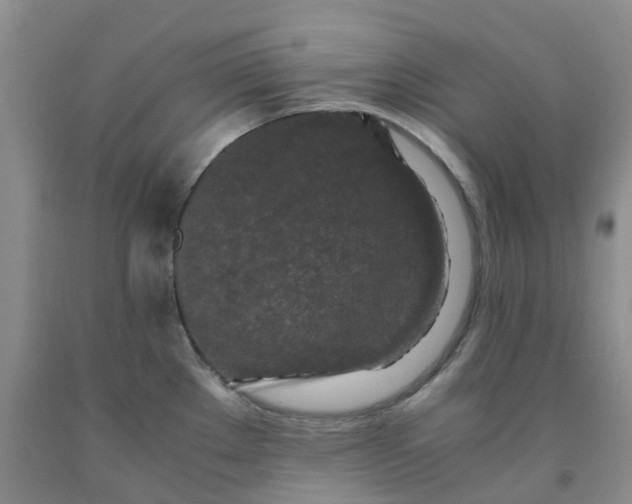 X0000091981289200709201419