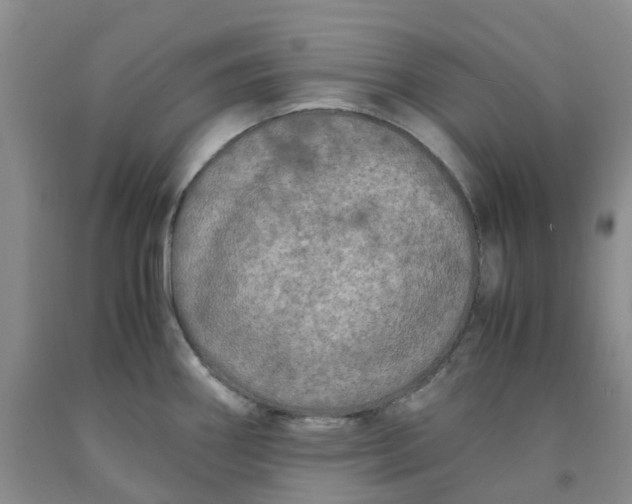 X0000091981290200709201419