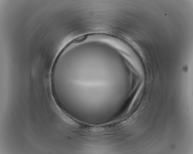 X0000091981291200709201419