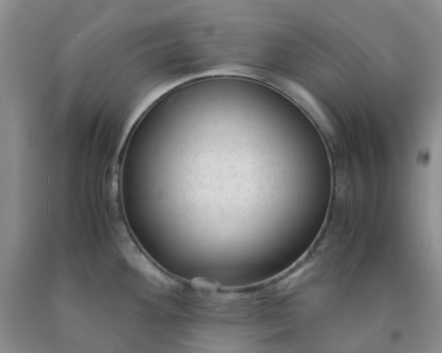 X0000091981292200709201419