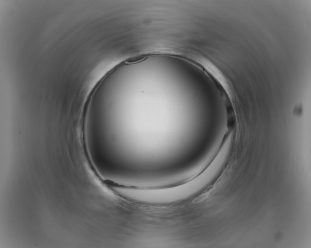 X0000091981293200709201419