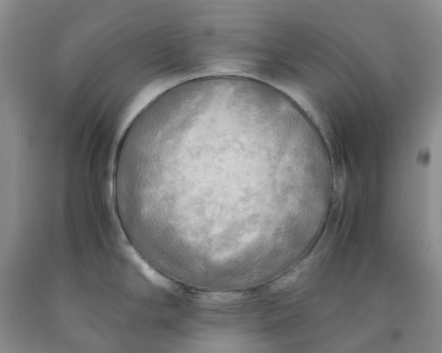 X0000091981294200709201419