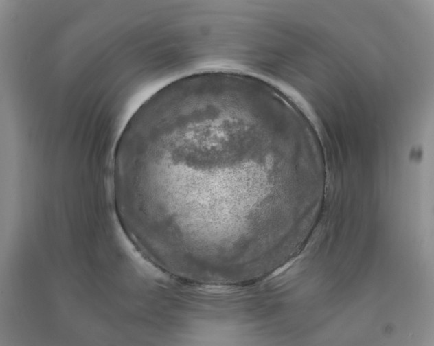 X0000091981295200709201419