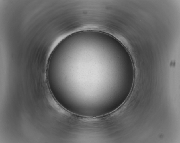 X0000091981296200709201419