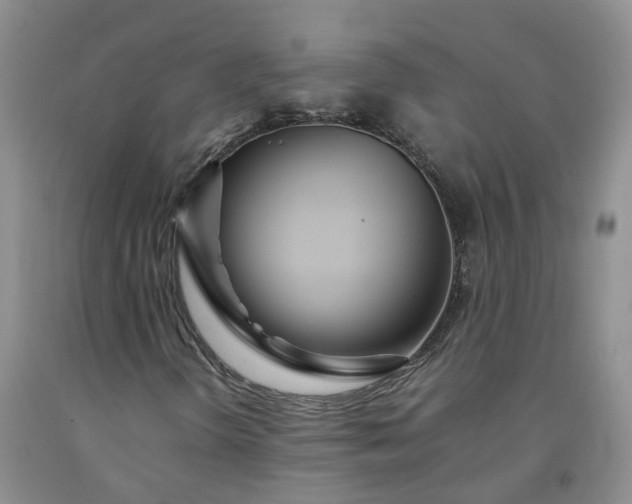 X0000091981298200709201418