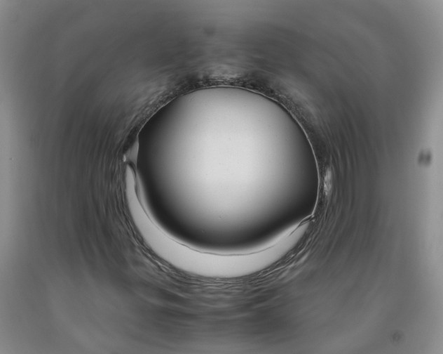 X0000091981299200709201418