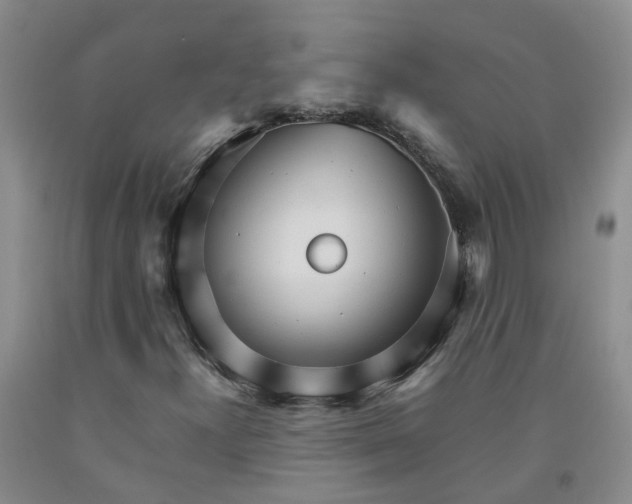 X0000091981300200709201418