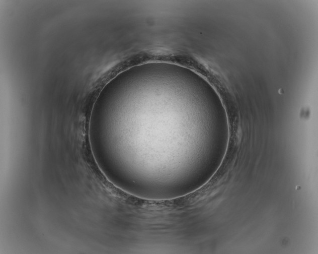 X0000091981301200709201418