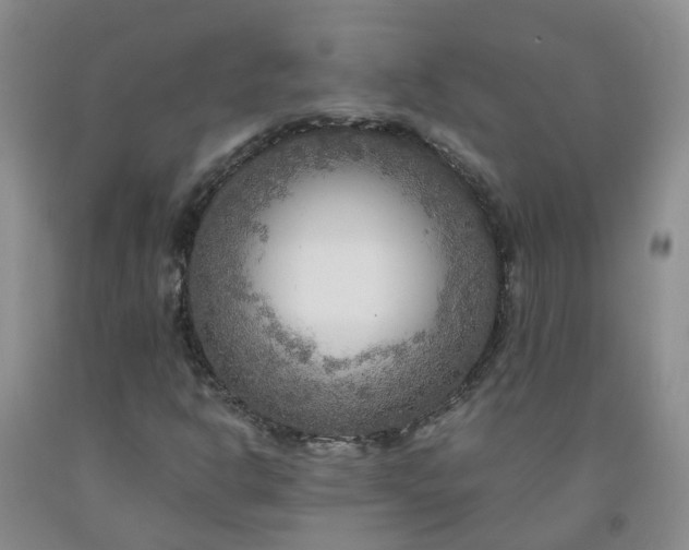 X0000091981302200709201418