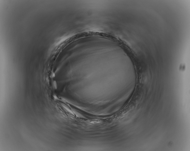 X0000091981303200709201418