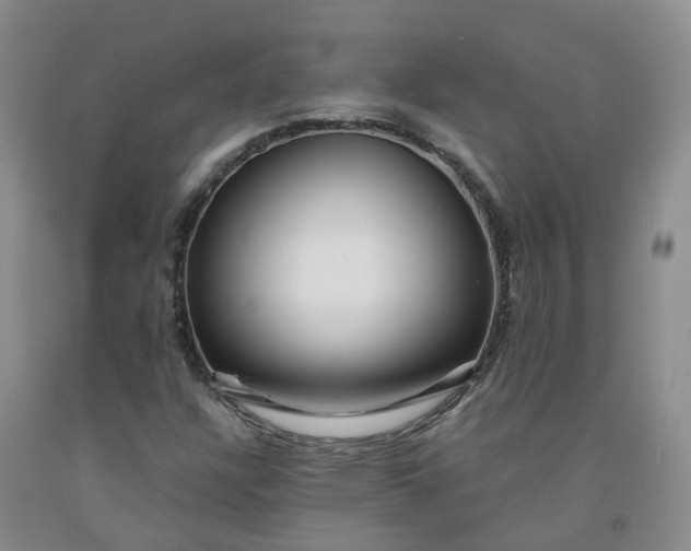 X0000091981304200709201418