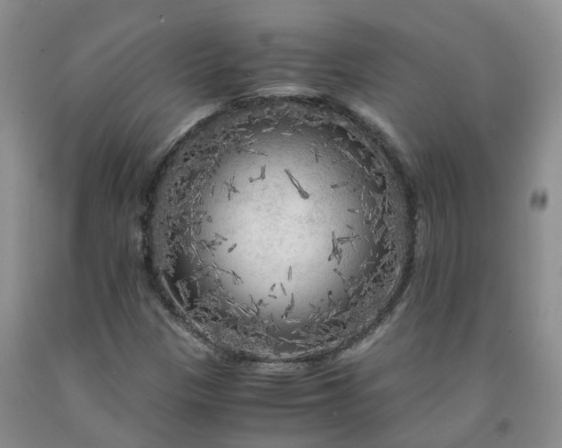 X0000091981305200709201418