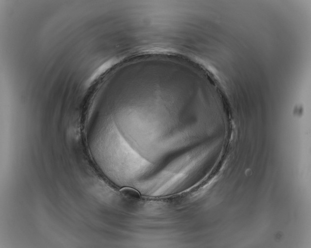 X0000091981306200709201418