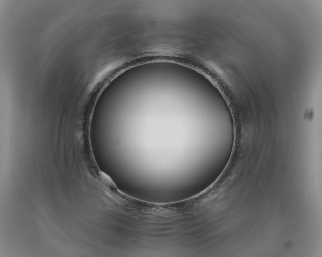 X0000091981307200709201418