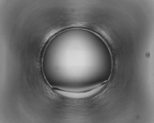 X0000091981308200709201418