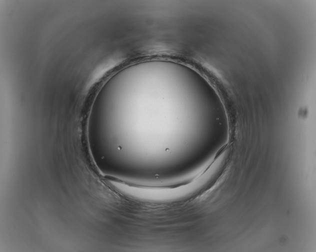 X0000091981309200709201418