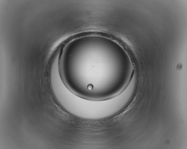 X0000091981310200709201418